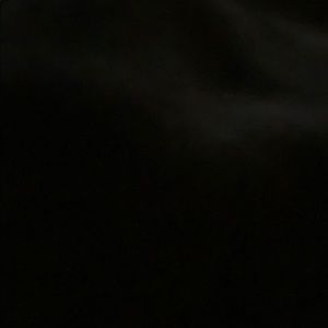 Meet your Posher, Whitney